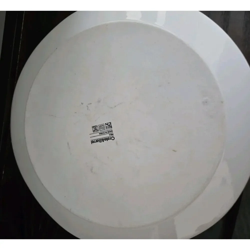 (4) Crate & Barrel “RIKA” Blueberry Dots Pottery Dinner Plates 11 Inch